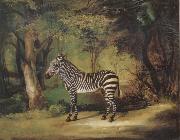 George Stubbs Horse China oil painting reproduction
